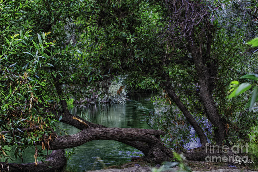 Tree Photograph - Mystical River by Jacque The Muse Photography