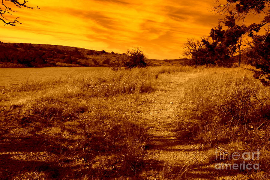 Landscape Photograph - Mystical Trail by Mickey Harkins