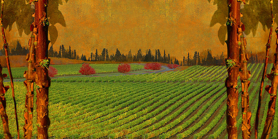 Mythical Vineyard Photograph by Jeff Burgess