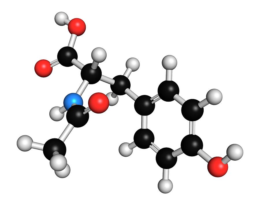 N-acetyl-tyrosine Molecule Photograph by Molekuul