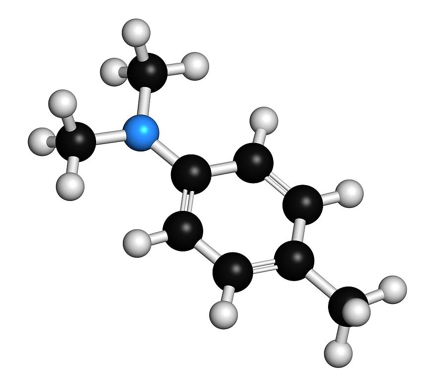 Methyl Photograph - N by Molekuul