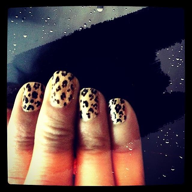 Nails On The Prowl. Leopard Print Nails Photograph by Smita R