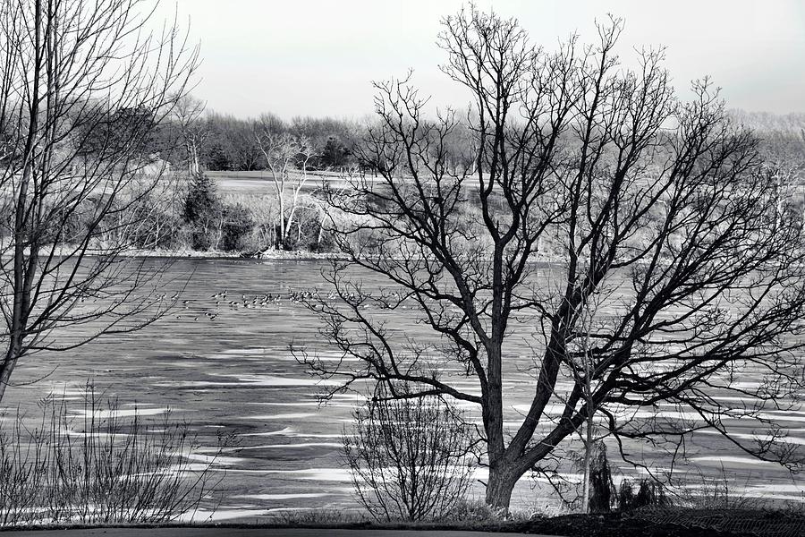 Naked Kansas Photograph By Abbie Loyd Kern Fine Art America