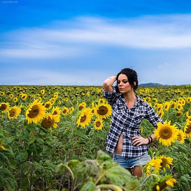 @nakita_j In The Sunflower Fields .. I Photograph by Jamie Koppen