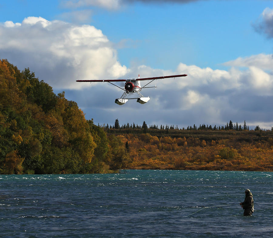 Naknek River and Beaver Airplane Alaska Photograph by Sam Amato