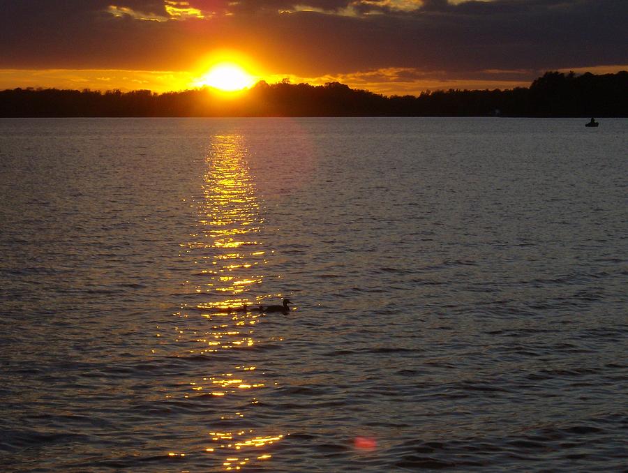 Namakagon Sunset Photograph by Laura Elder Fine Art America