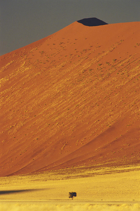 Namib Desert Dune Photograph by F. Stuart Westmorland
