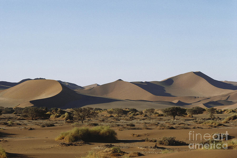 Namib Desert Photograph by Okapia