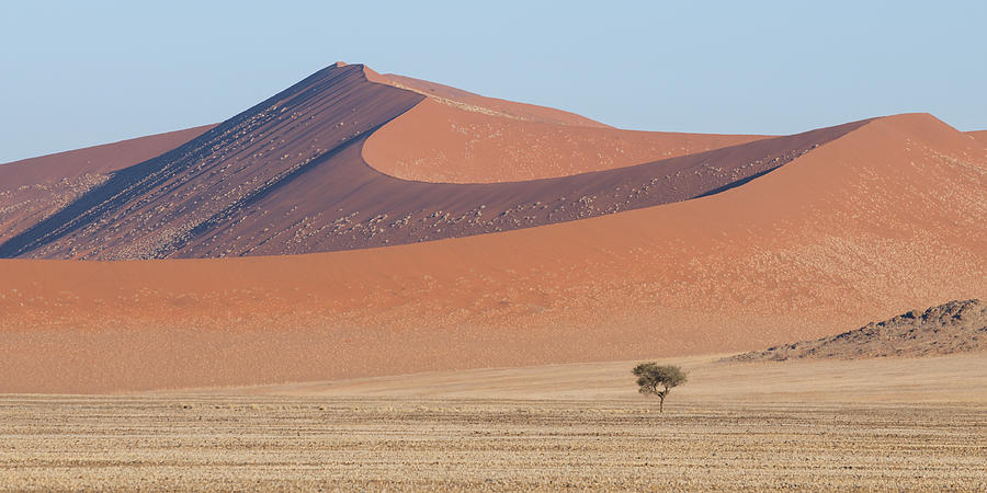 Namib lanscape Photograph by Marco Bottigelli - Fine Art America