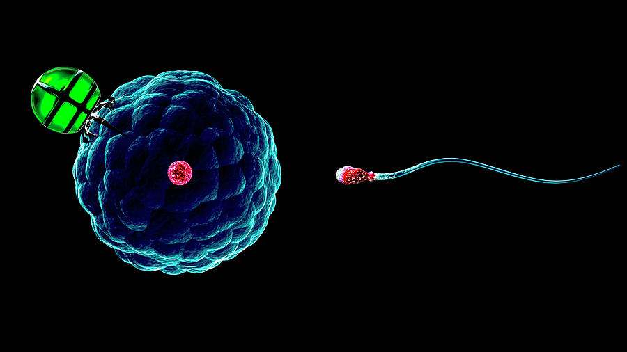 Nano-fertilisation Photograph by Christian Darkin
