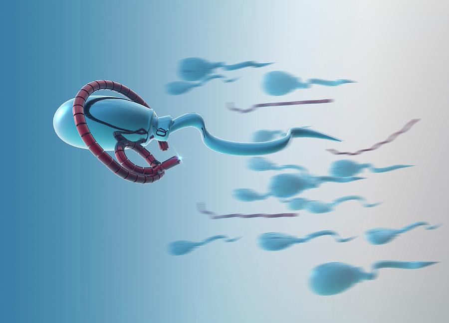 Nano Sperm Photograph By Victor Habbick Visionsscience Photo Library 8289