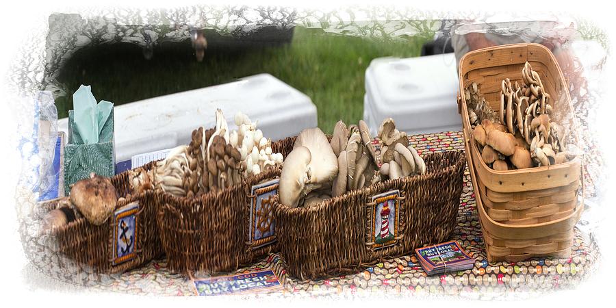 Nature Photograph - Nantucket Mushrooms In A Cape Cod Farmers Market by Constantine Gregory