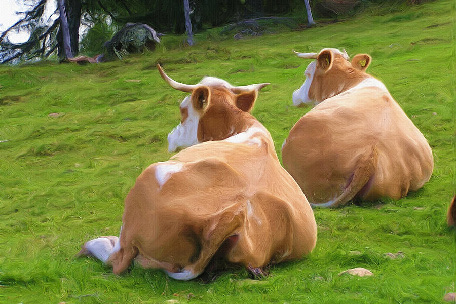Cow Painting - Nap Time by Inspirowl Design