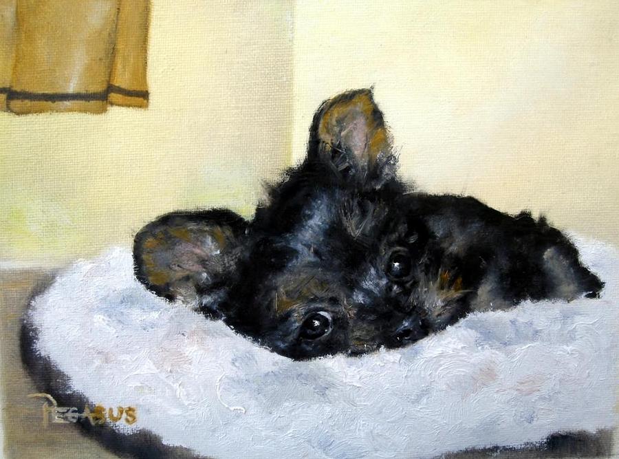 Yorkie Painting - Nap Time for Puppy by Beverly Pegasus