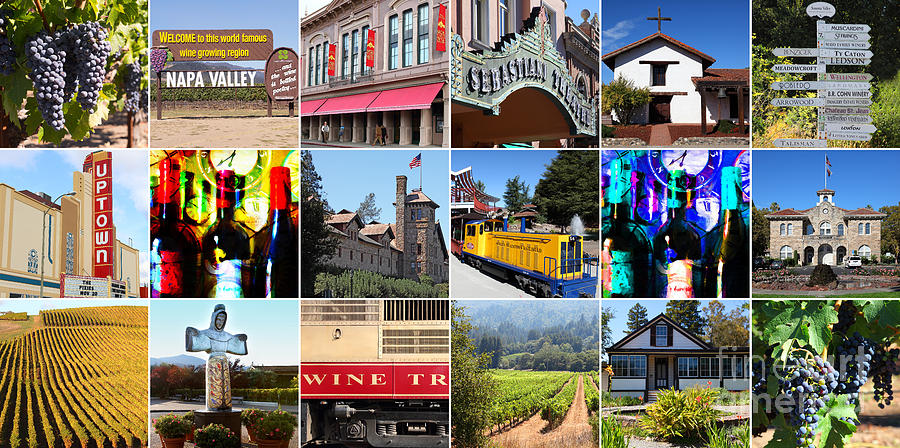 Napa Photograph - Napa Sonoma County Wine Country 20140906 by Wingsdomain Art and Photography