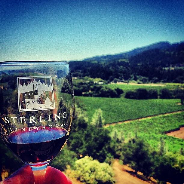 Napa Valley. Wine Country Photograph by Betsy B