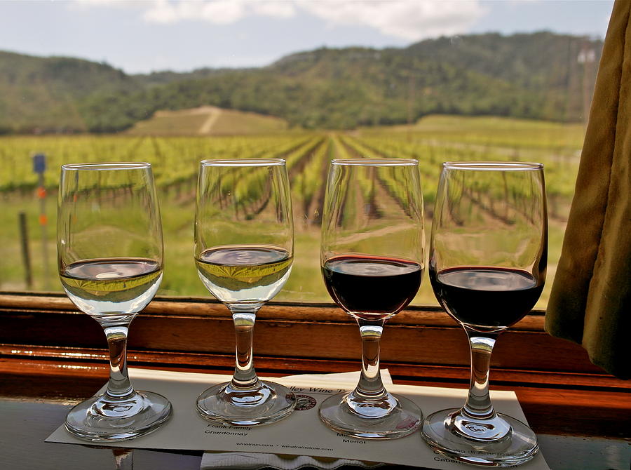 Napa Valley Wine Train Delights Photograph by Michele Myers