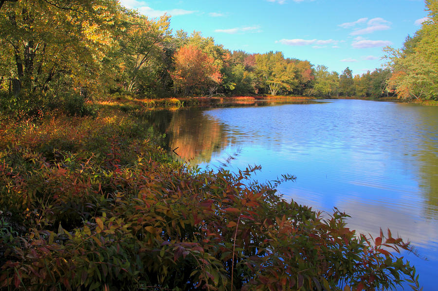 Napanee River Photograph by Jim Vance - Fine Art America