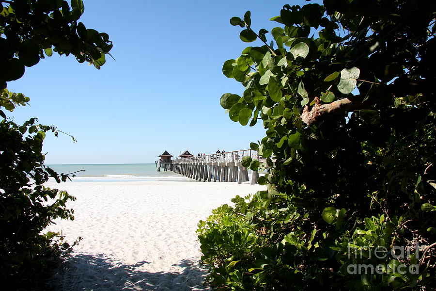 Naples Pier View Photograph by Christiane Schulze Art And Photography