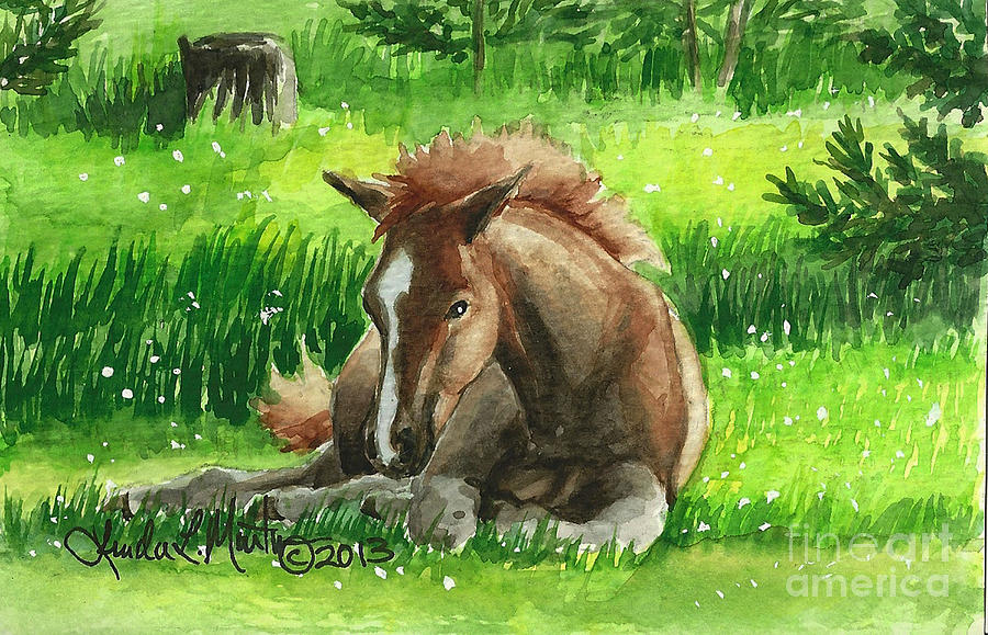 Foal Painting - Napping Alberta Wild Foal by Linda L Martin