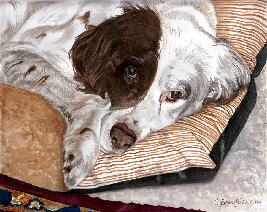 English Setter Painting - Naptime by Cynthia Brassfield