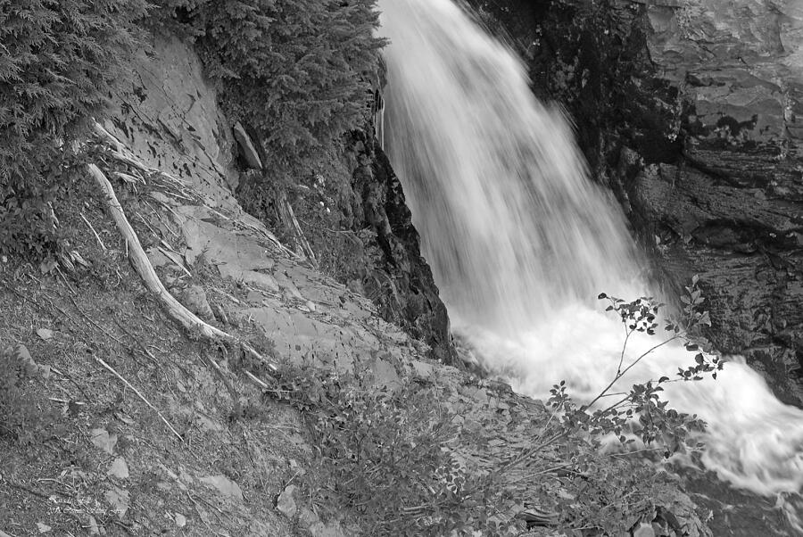 Narada Falls B W. Mount Rainier National Park Photograph by Connie Fox