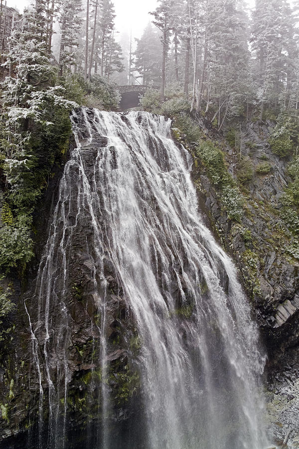 Narada Falls Mt Rainier Photograph by Greg Reed