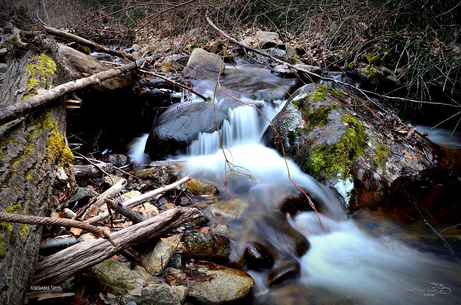 Creek Photograph - Naramata Creek by Guy Hoffman