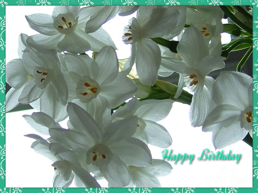 Narcissi Birthday Greeting Mixed Media by Joan-Violet Stretch