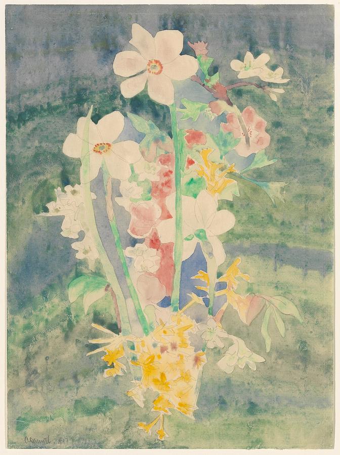 Charles Demuth Drawing - Narcissi by Charles Demuth