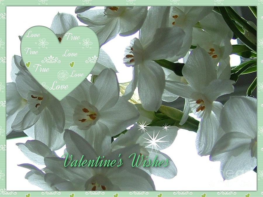 Narcissi Valentines Wishes Photograph by Joan-Violet Stretch