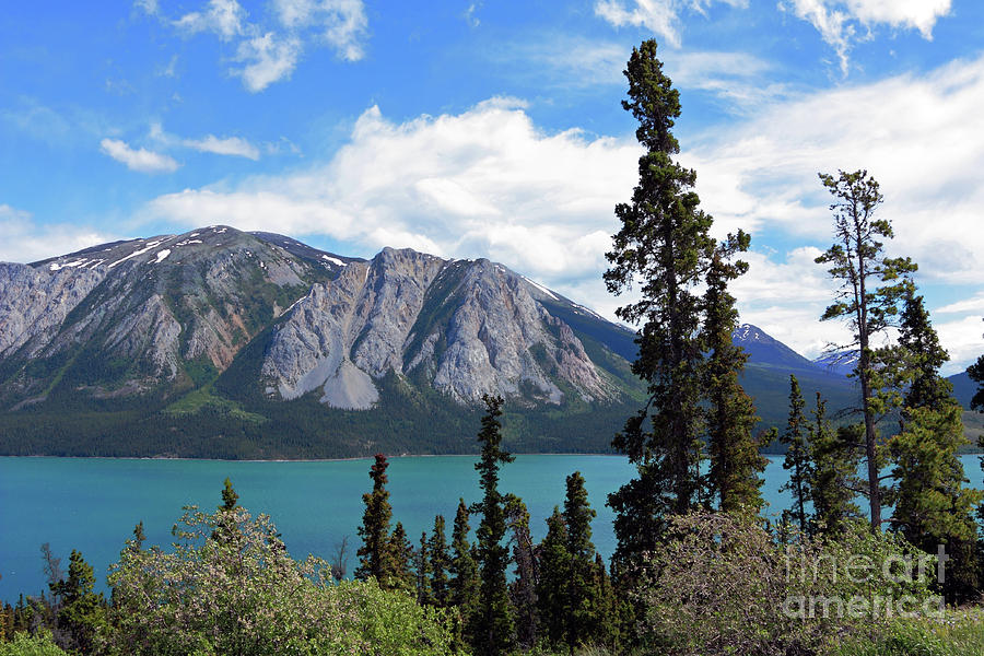 Nares Lake in Yukon Photograph by Charline Xia