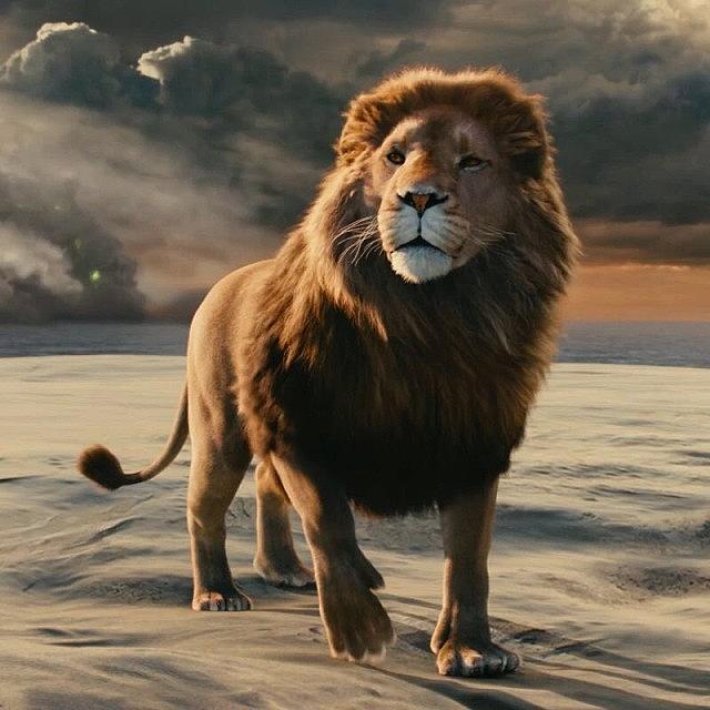 Narnia, aslan, lion, HD phone wallpaper