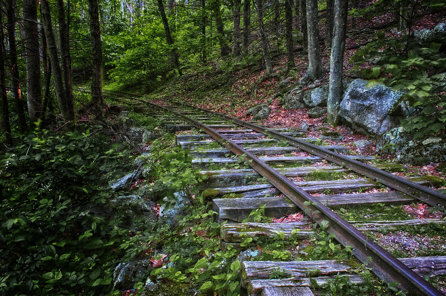 Narrow Gauge track Photograph by Ward McGinnis - Fine Art America