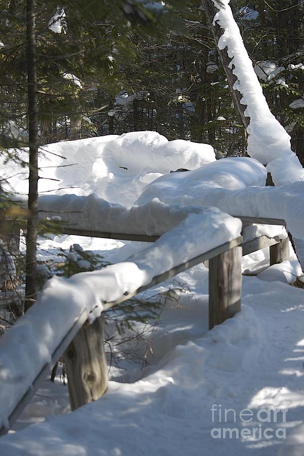 Winter Photograph - Narrow Trail by Joseph Yarbrough