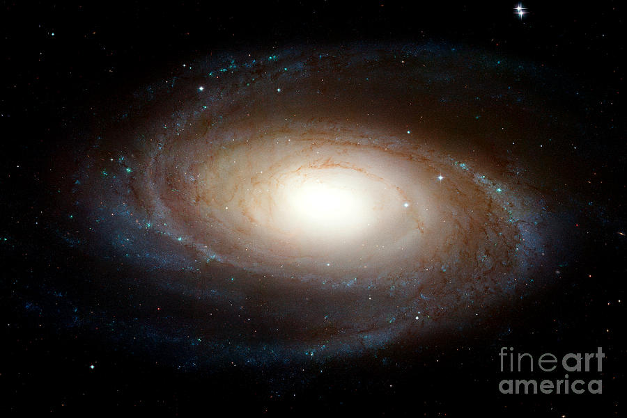 Planet Photograph - NASA Spiral Galaxy M81 by Rose Santuci-Sofranko