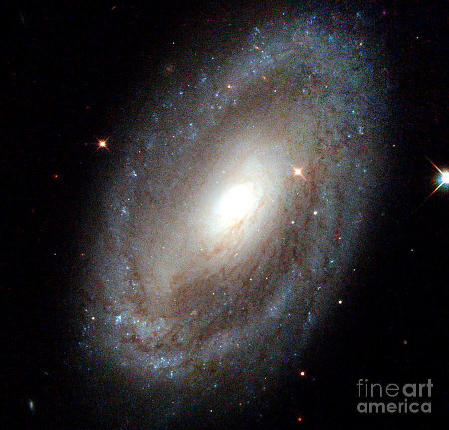 NASA Spiral Galaxy Photograph by Rose Santuci-Sofranko
