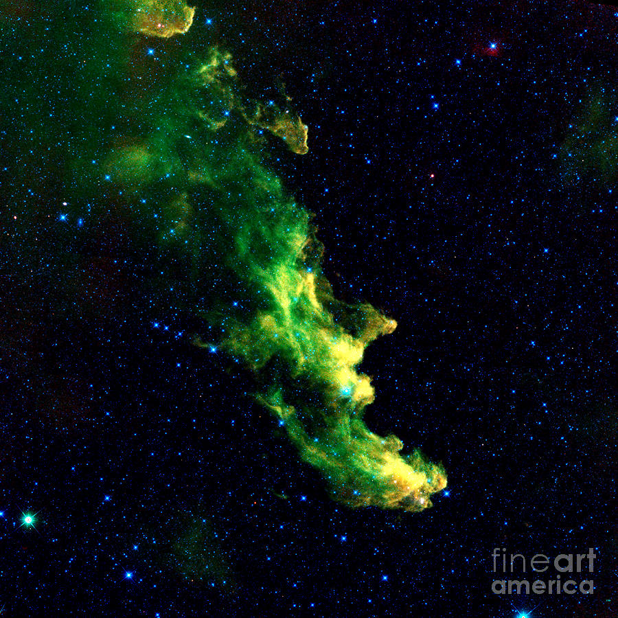 NASA Witch Head Nebula Photograph by Rose Santuci-Sofranko