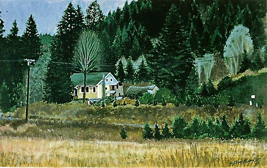 Nashville Home Painting by E Dan Barker Fine Art America