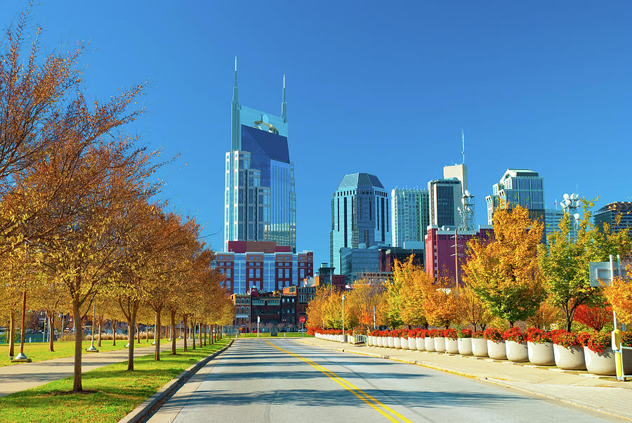 Nashville Skyline And Fall Plants Photograph by Davel5957