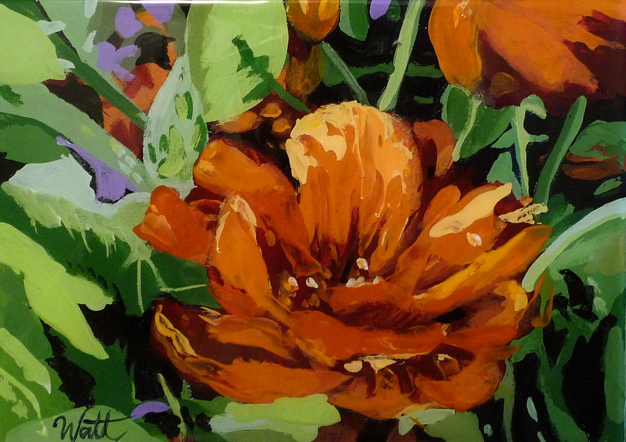 Flower Painting - Nasturtium by Tammy Watt