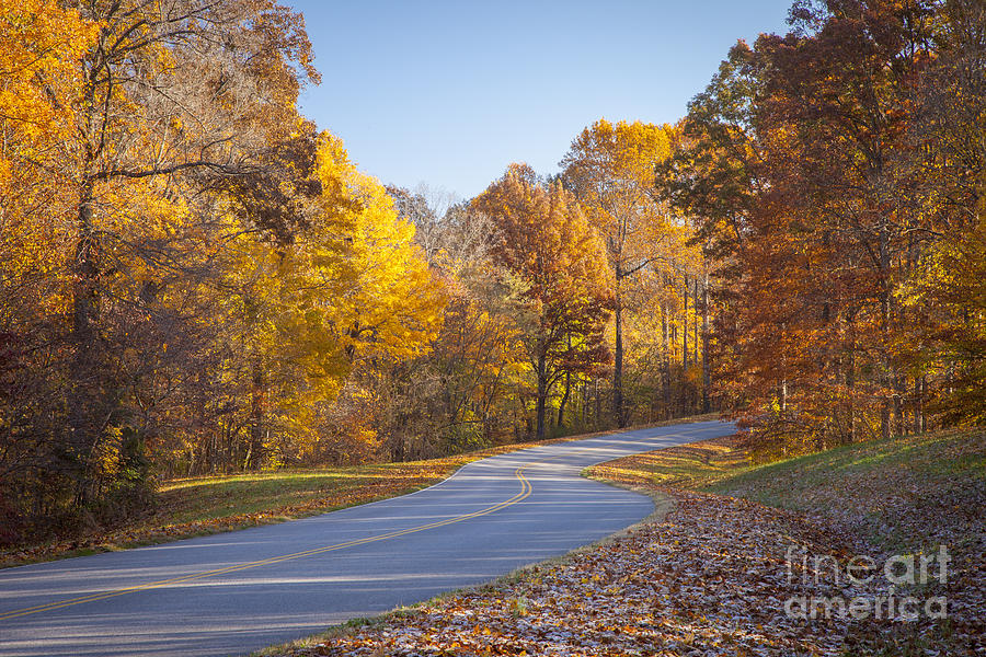 Natchez Trace - Tennessee Fall Photograph by Brian Jannsen