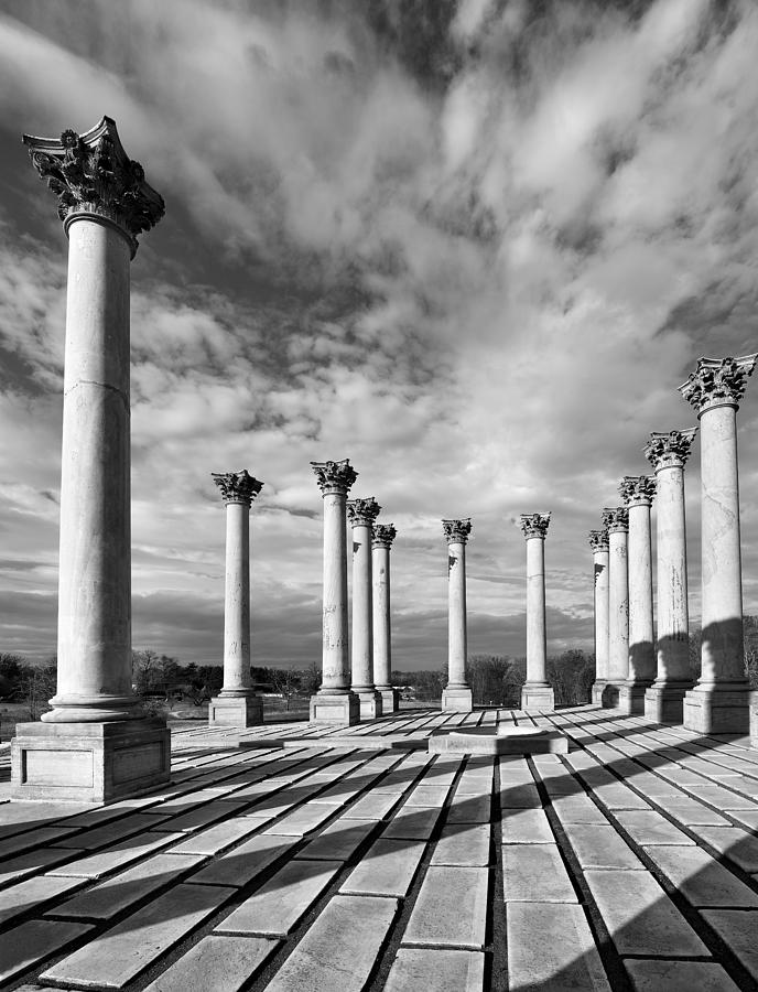 National Arboretum - Capitol Columns Photograph by Brendan Reals