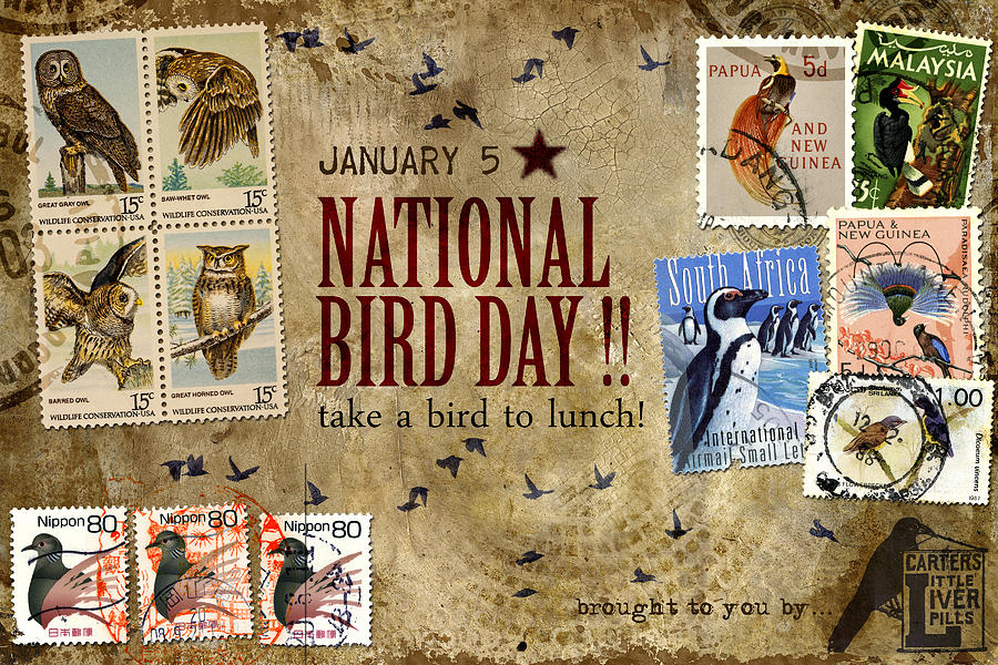 Bird Photograph - National Bird Day by Carol Leigh