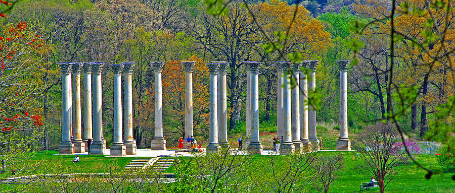 National Capitol Columns Photograph by Andy Lawless
