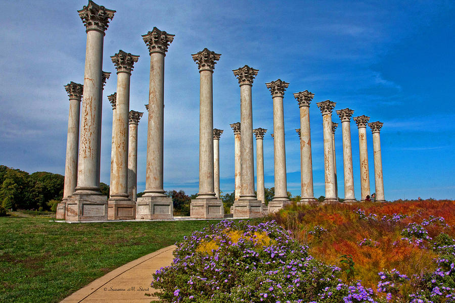 National Capitol Columns Photograph by Suzanne Stout