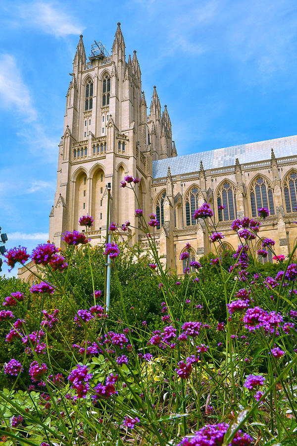 National Cathedral Photograph by Mitch Cat