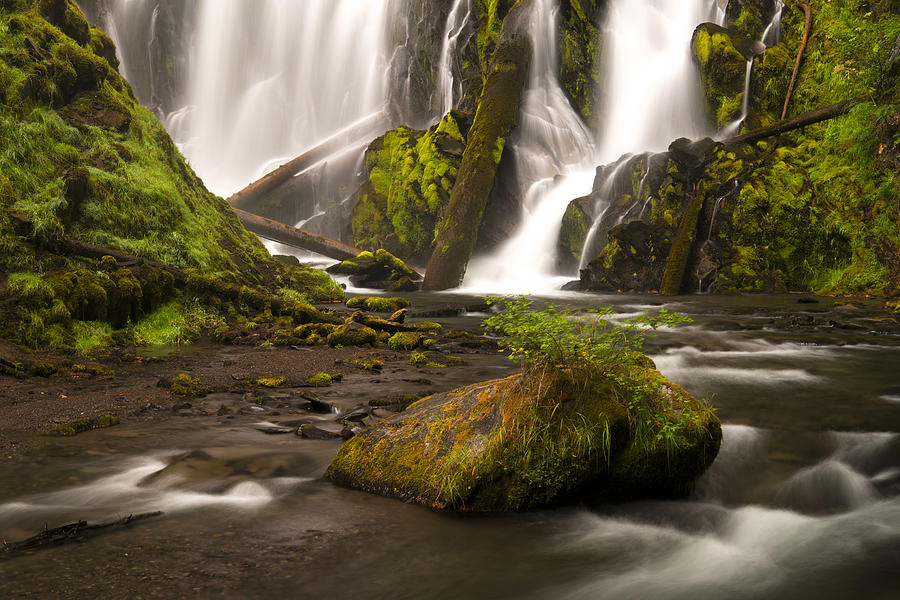 Nature Photograph - National Creek Falls by Dustin LeFevre