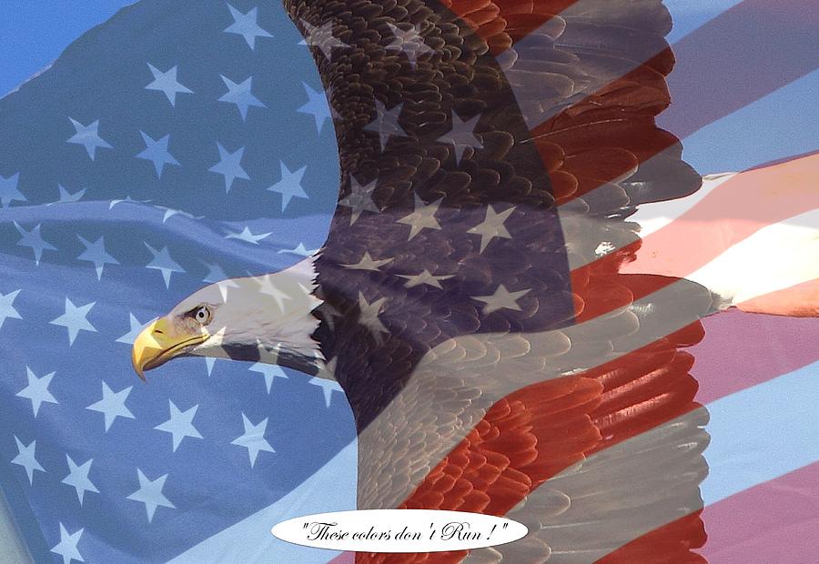 National Flag Eagle Photograph by Donald Cramer - Fine Art America