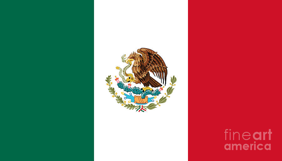 Mexican Flag of Mexico Digital Art by Sterling Gold